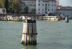 威尼斯水下木桩干什么用的_威尼斯水下结构
